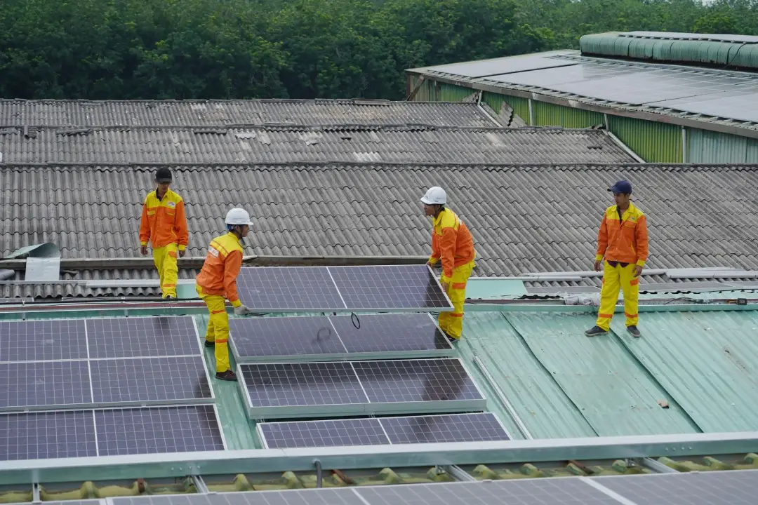 Can Solar Panels Power Your Whole Home?